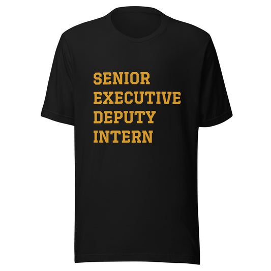 Senior Executive Deputy Intern